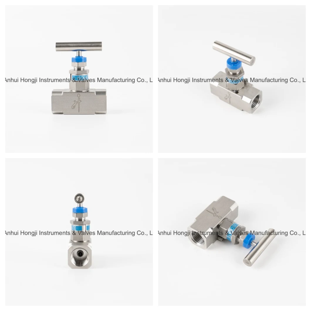 Stainless Steel 304, 316L, 321, 201 Female Thread Needle Valve 10000 Psi Needle Valve